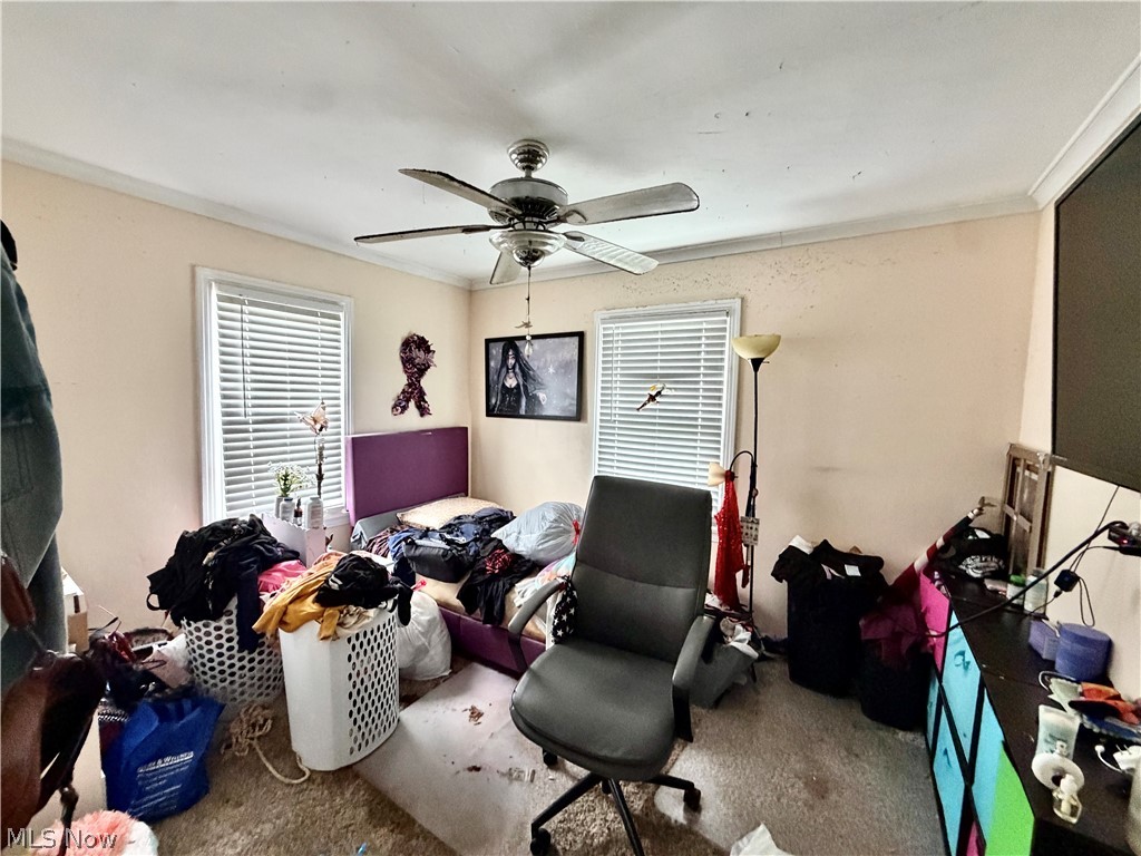 807 Hazelwood Avenue SE Warren OH 44484
