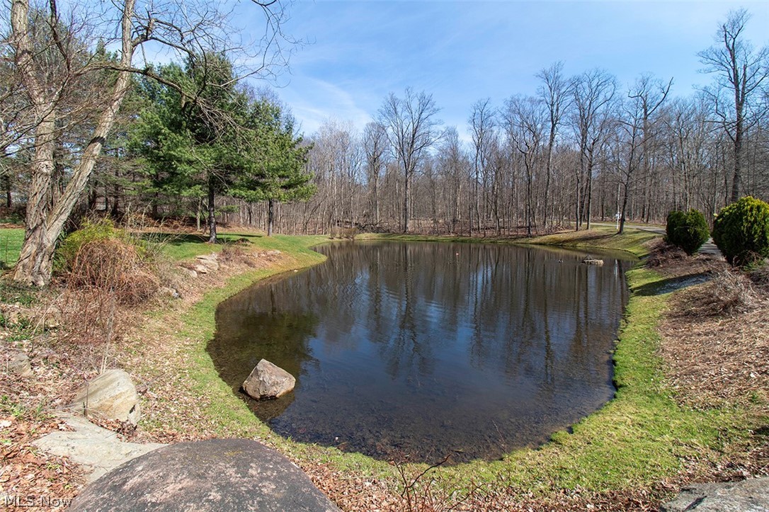 1360 Snowberry Lane Medina OH 44256