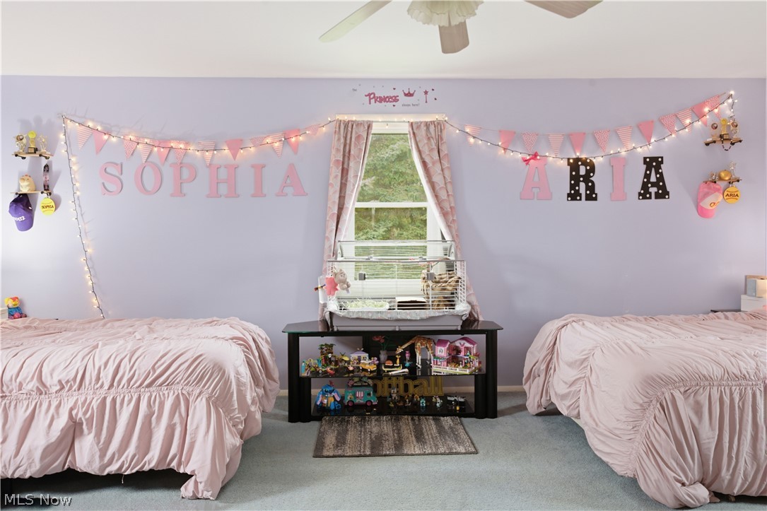 971 Champion Avenue E Warren OH 44483