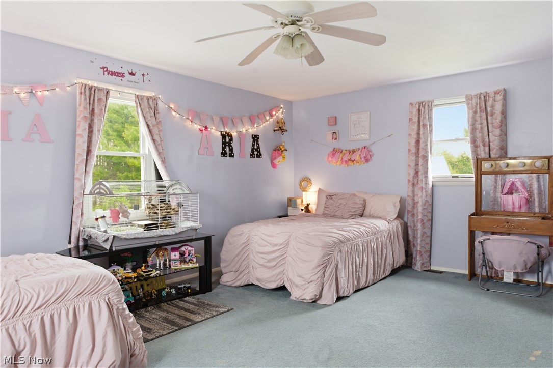 971 Champion Avenue E Warren OH 44483