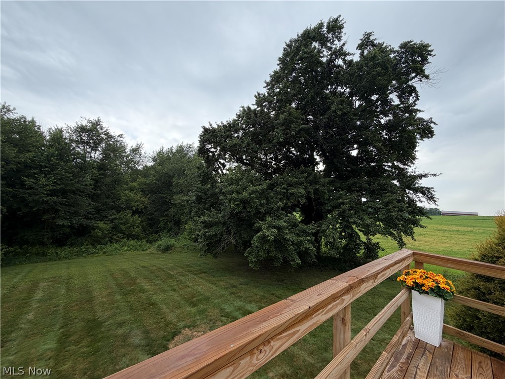 9399 Stump Road Minerva OH 44657