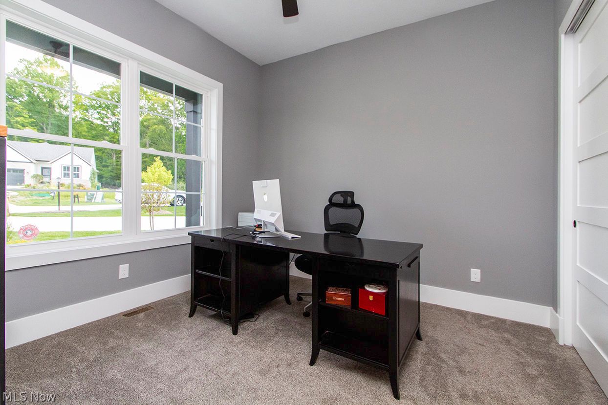 6136 Grey Heron Drive Medina OH 44256