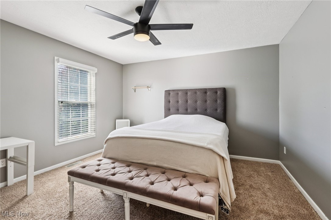 4412 Lakeview Glen Drive Medina OH 44256