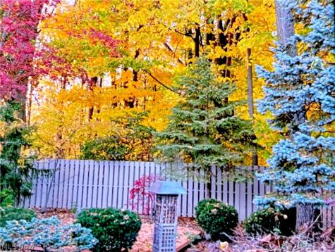 12302 Kronos Court Strongsville OH 44149