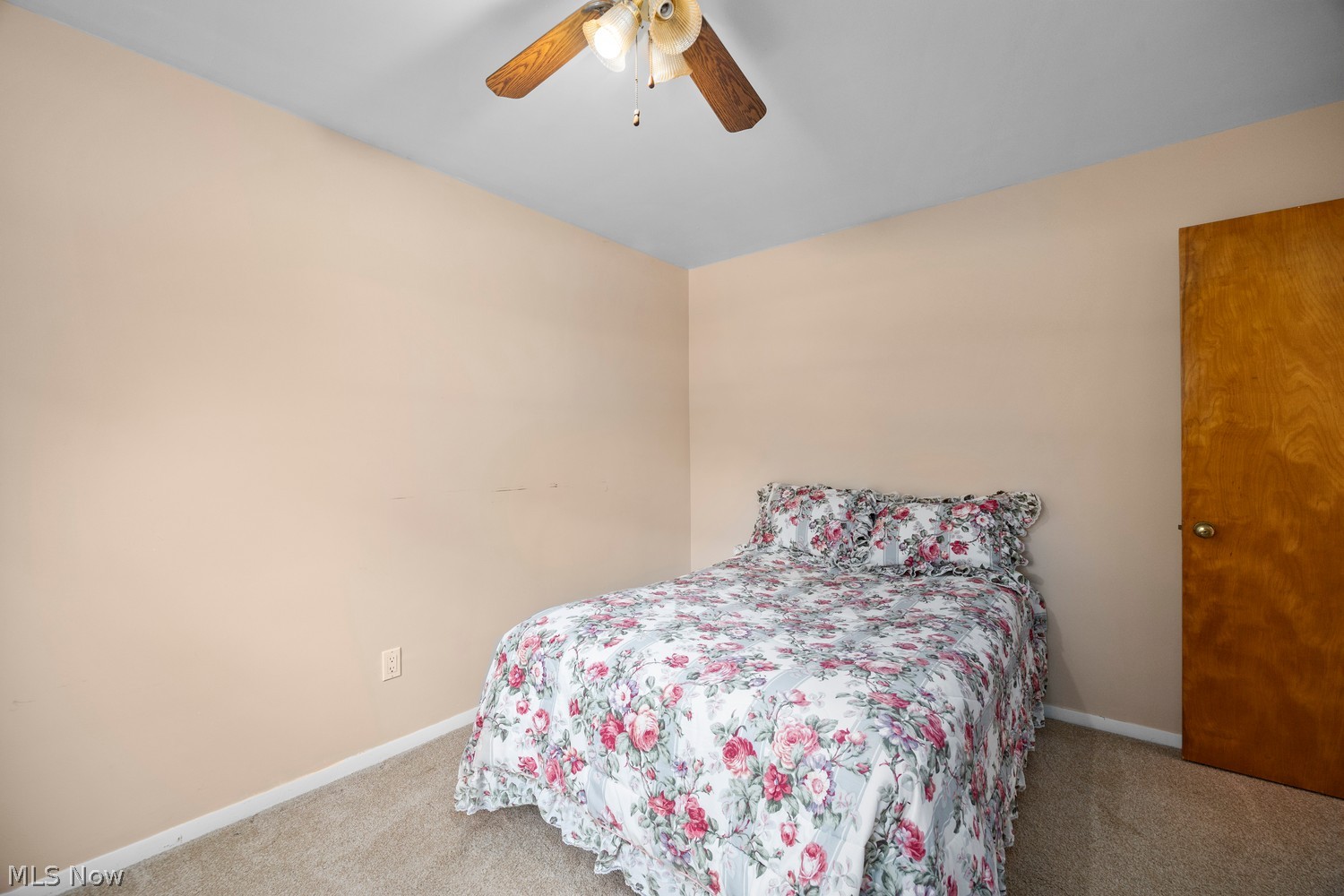 14931 Drake Road Strongsville OH 44136
