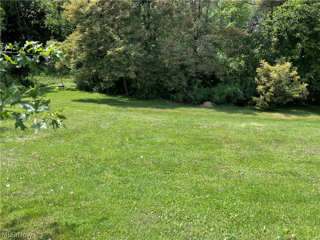 203 Leonard Avenue Wintersville OH 43953