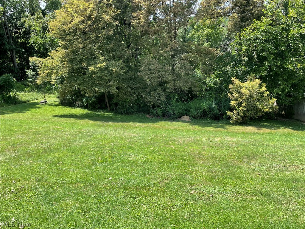 203 Leonard Avenue Wintersville OH 43953