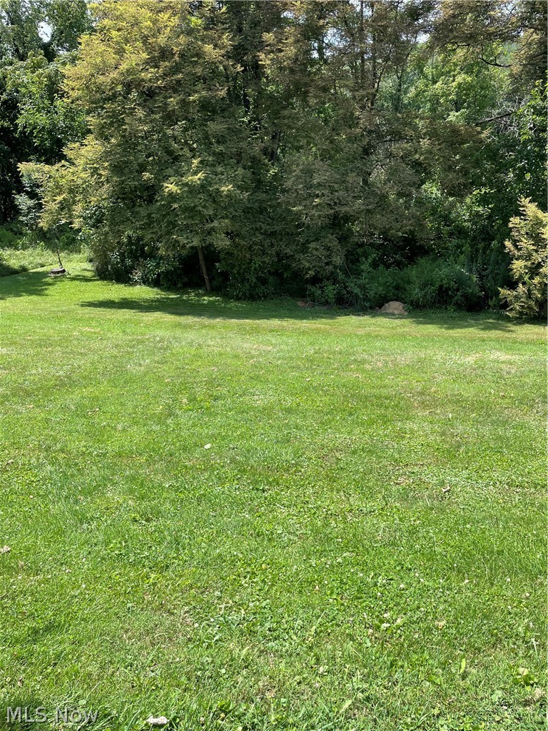 203 Leonard Avenue Wintersville OH 43953