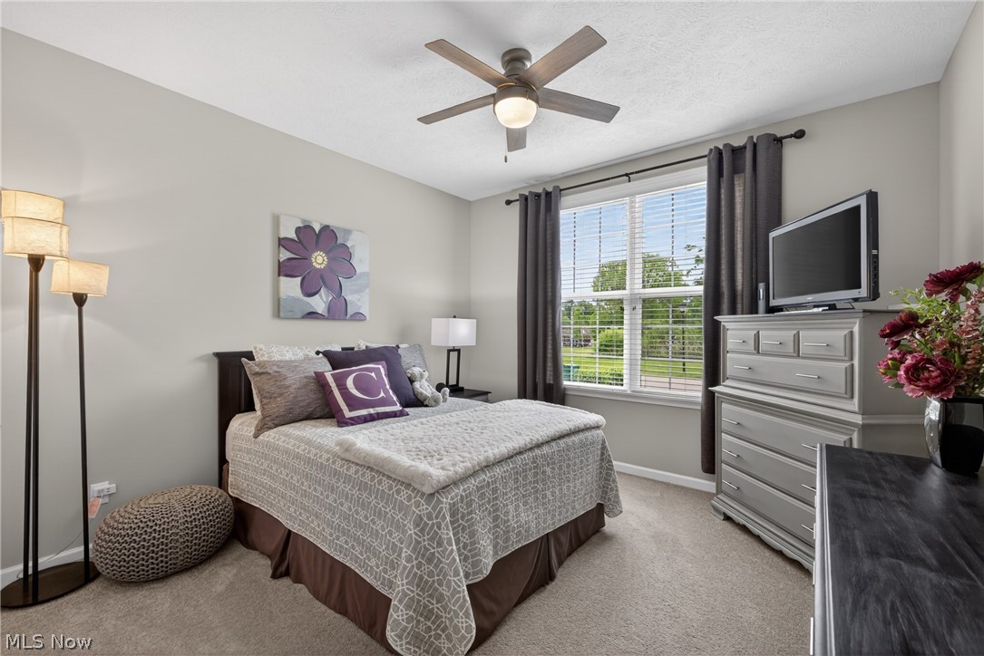 7802 Hunting Lake Drive Painesville OH 44077