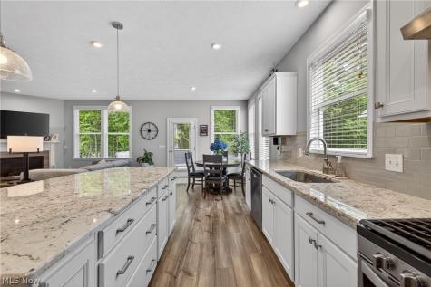 7802 Hunting Lake Drive Painesville OH 44077