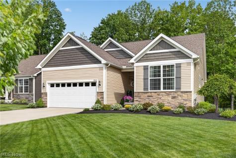 7802 Hunting Lake Drive Painesville OH 44077