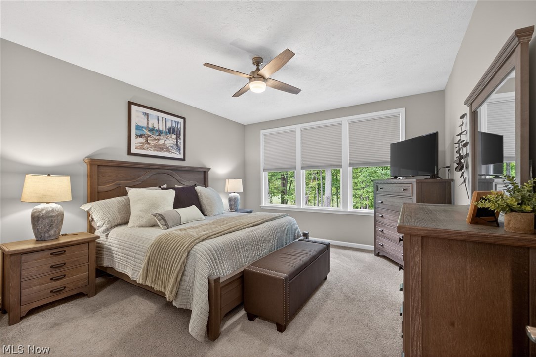 7802 Hunting Lake Drive Painesville OH 44077