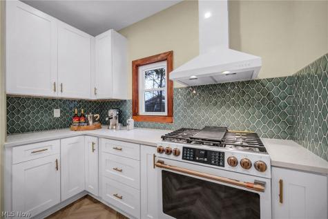 1345 Cove Avenue Lakewood OH 44107