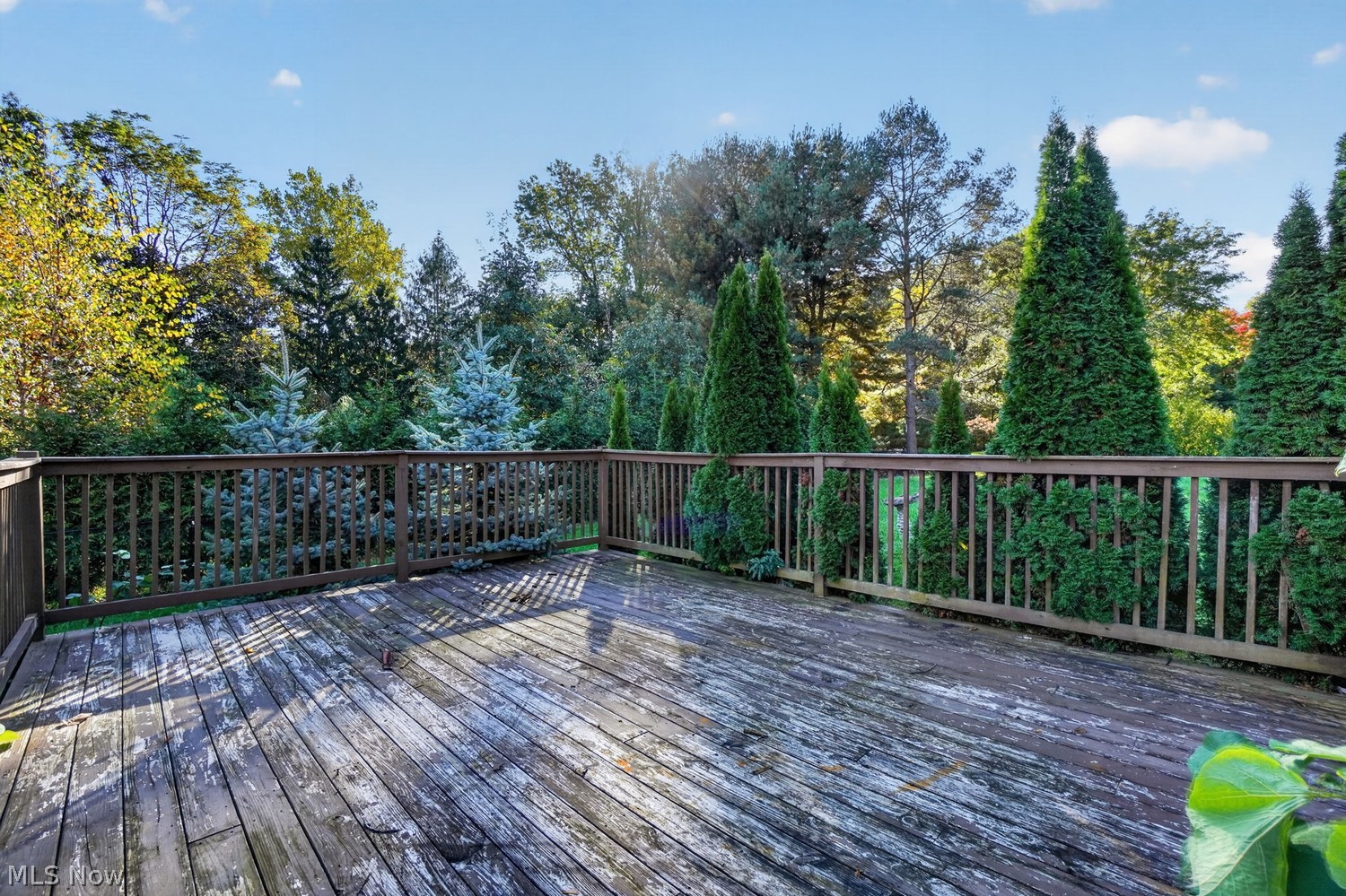 30554 Ridge Road Wickliffe OH 44092