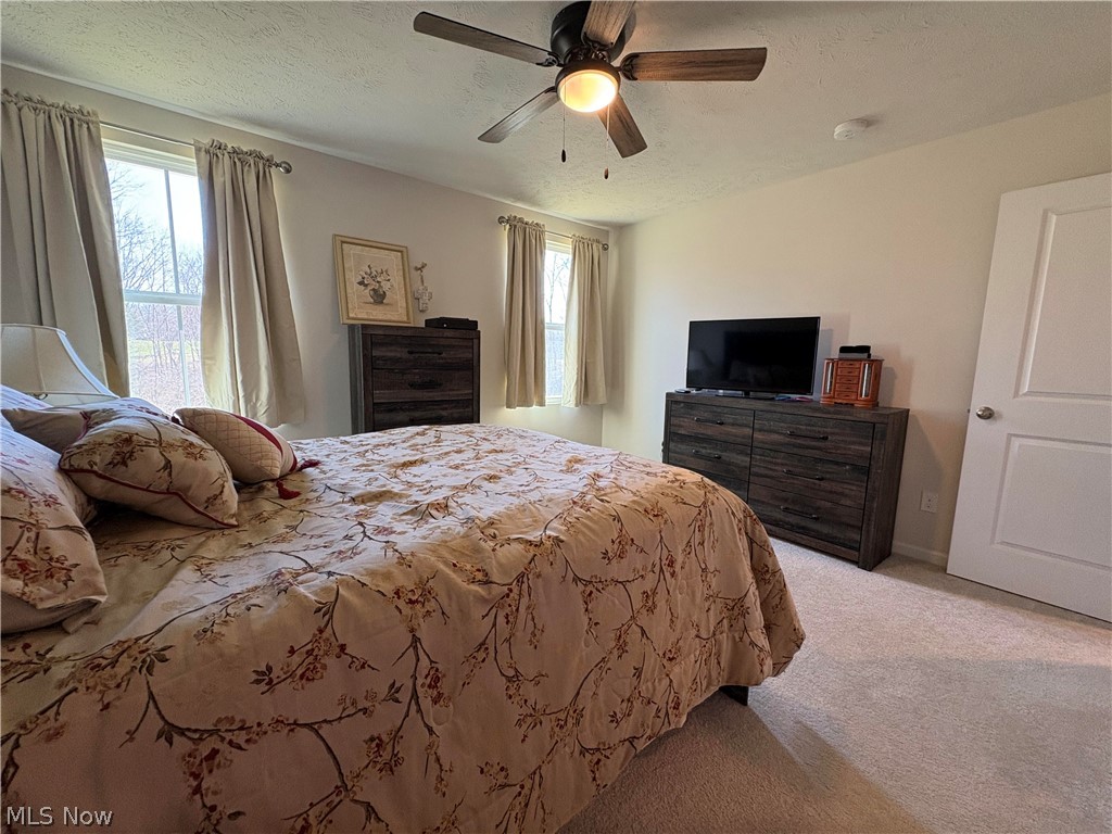 730 Whisper Creek Lane Lodi OH 44254