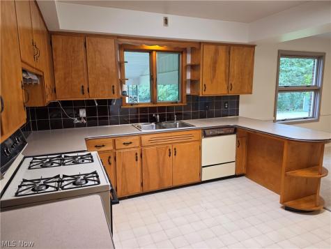 1459 Stepney Niles OH 44446