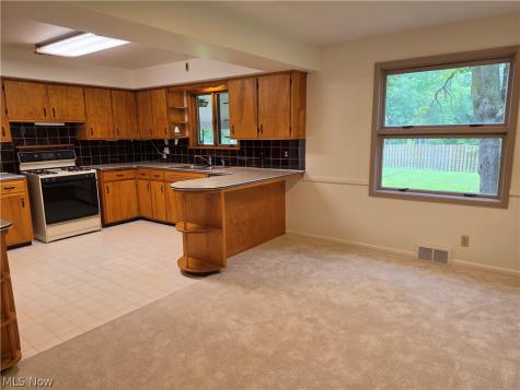 1459 Stepney Niles OH 44446