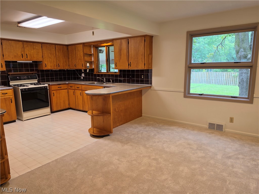 1459 Stepney Niles OH 44446