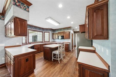 107 Blackberry Drive Hudson OH 44236