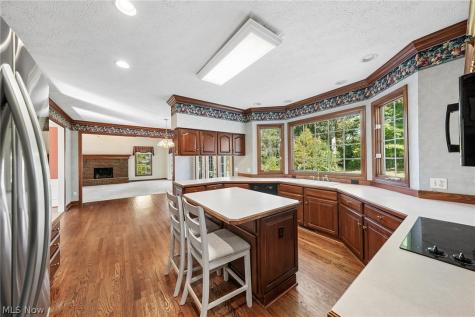 107 Blackberry Drive Hudson OH 44236