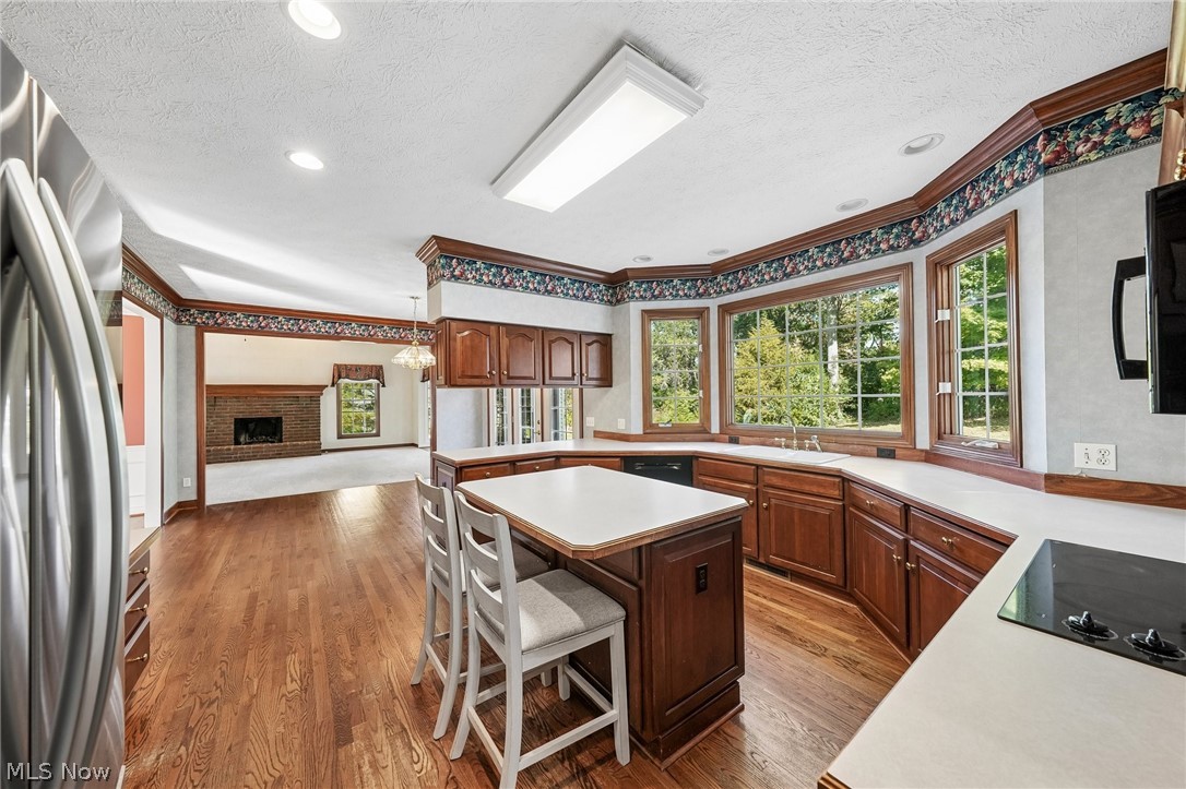 107 Blackberry Drive Hudson OH 44236