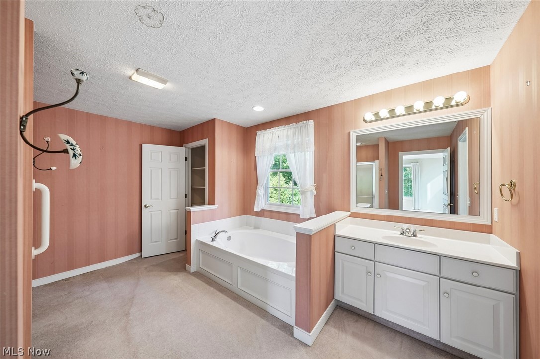 107 Blackberry Drive Hudson OH 44236