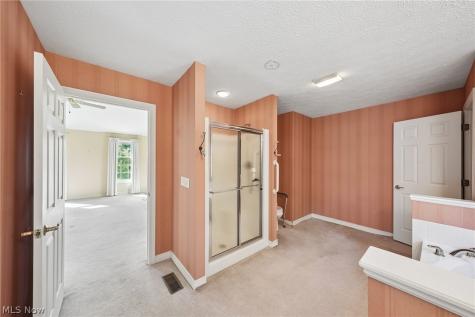 107 Blackberry Drive Hudson OH 44236