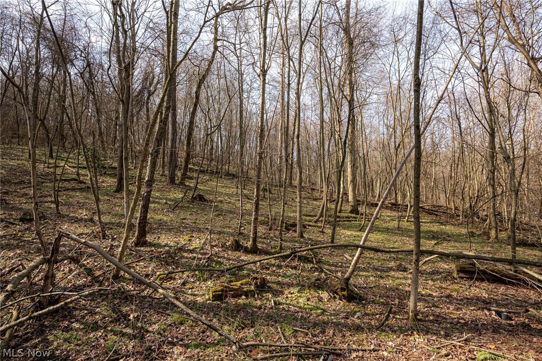 46723 Township Road 74 Coshocton OH 43812
