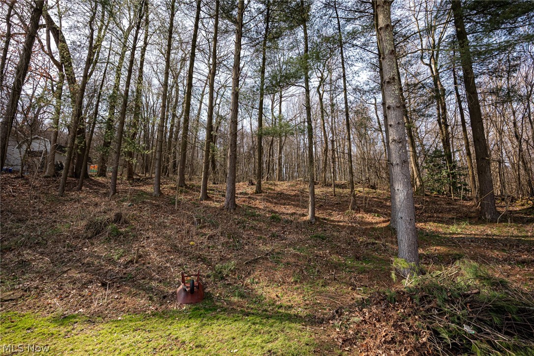 46723 Township Road 74 Coshocton OH 43812