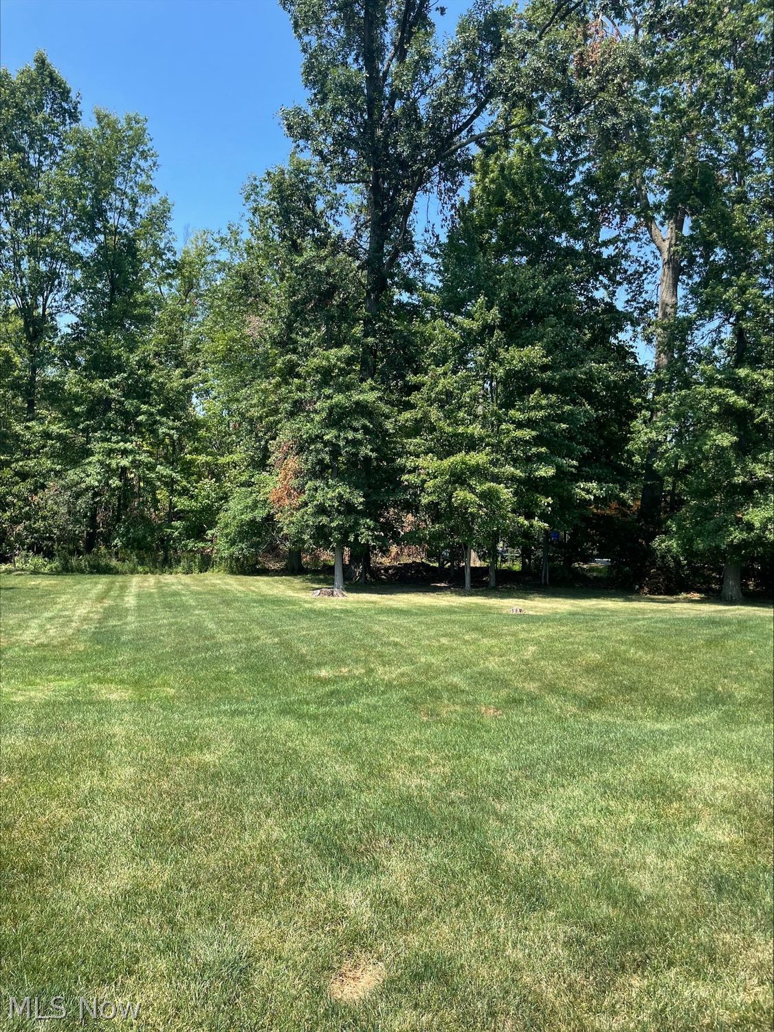 3910 Albany Court Canfield OH 44406