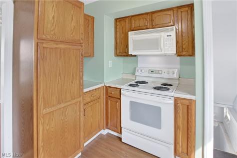 3145 W 138th Street Cleveland OH 44111