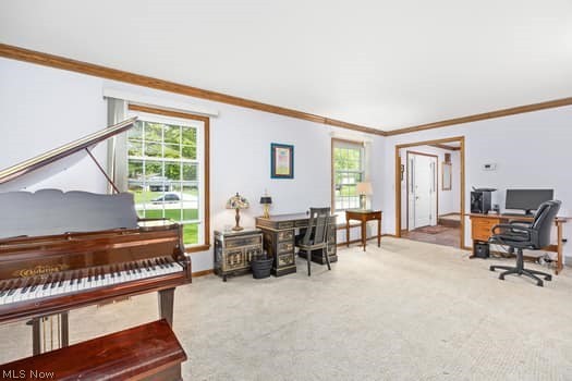 1029 Reedy Drive Wadsworth OH 44281