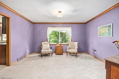 1029 Reedy Drive Wadsworth OH 44281