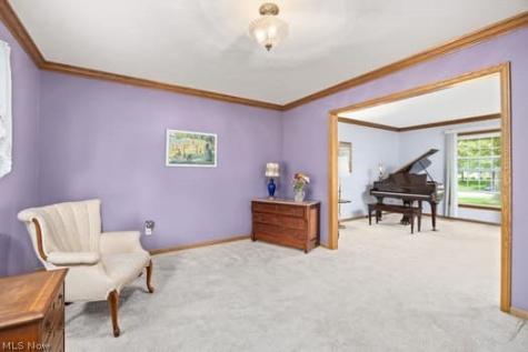 1029 Reedy Drive Wadsworth OH 44281