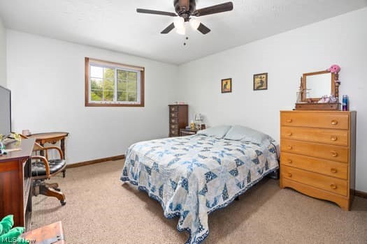 1029 Reedy Drive Wadsworth OH 44281