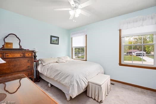 1029 Reedy Drive Wadsworth OH 44281