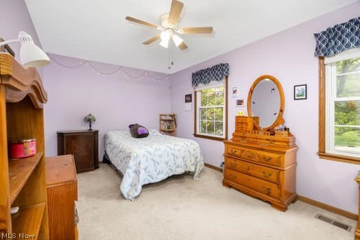 1029 Reedy Drive Wadsworth OH 44281