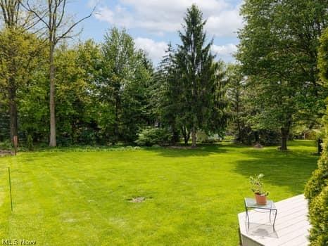 1029 Reedy Drive Wadsworth OH 44281