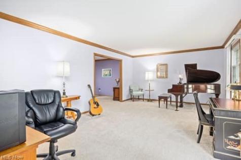 1029 Reedy Drive Wadsworth OH 44281