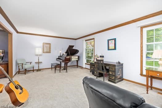 1029 Reedy Drive Wadsworth OH 44281