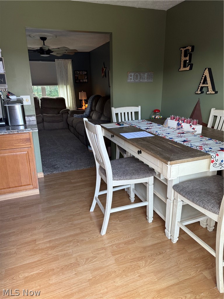246 Depot Street Conneaut OH 44030