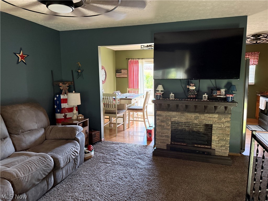 246 Depot Street Conneaut OH 44030