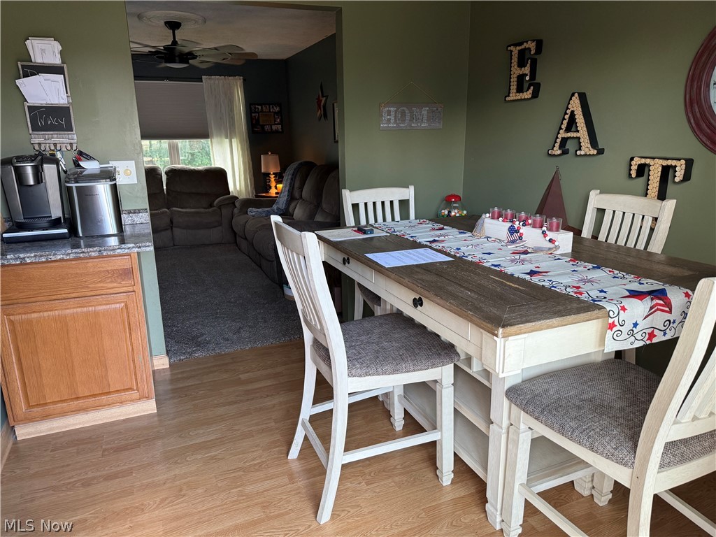 246 Depot Street Conneaut OH 44030