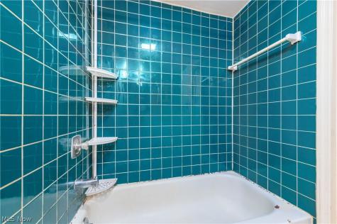 258 Vineyard Road Avon Lake OH 44012