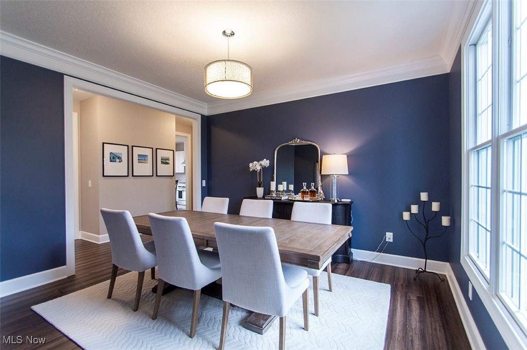 2316 Hickorycreek Drive Medina OH 44256