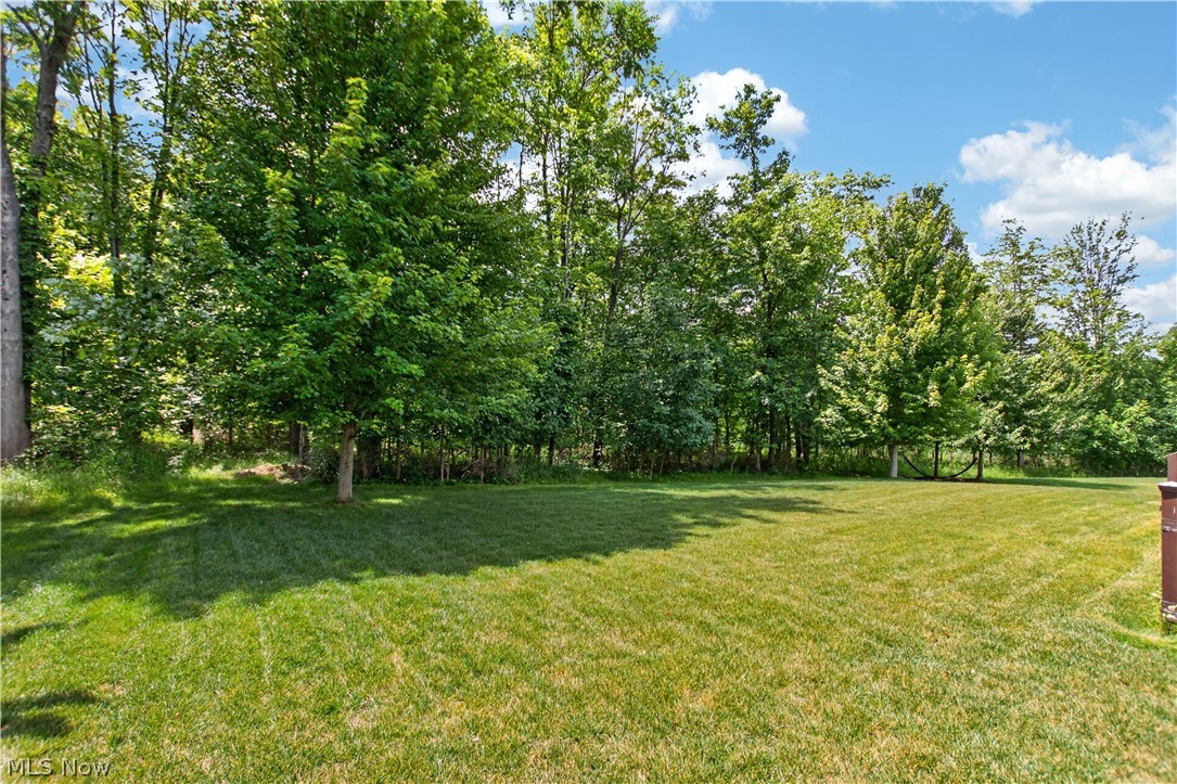 20296 Ennis Drive Strongsville OH 44149