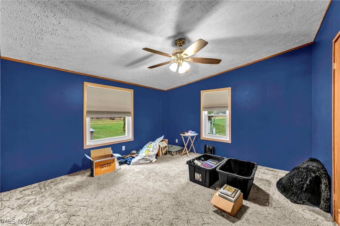 863 Peru Olena Road E Norwalk OH 44857