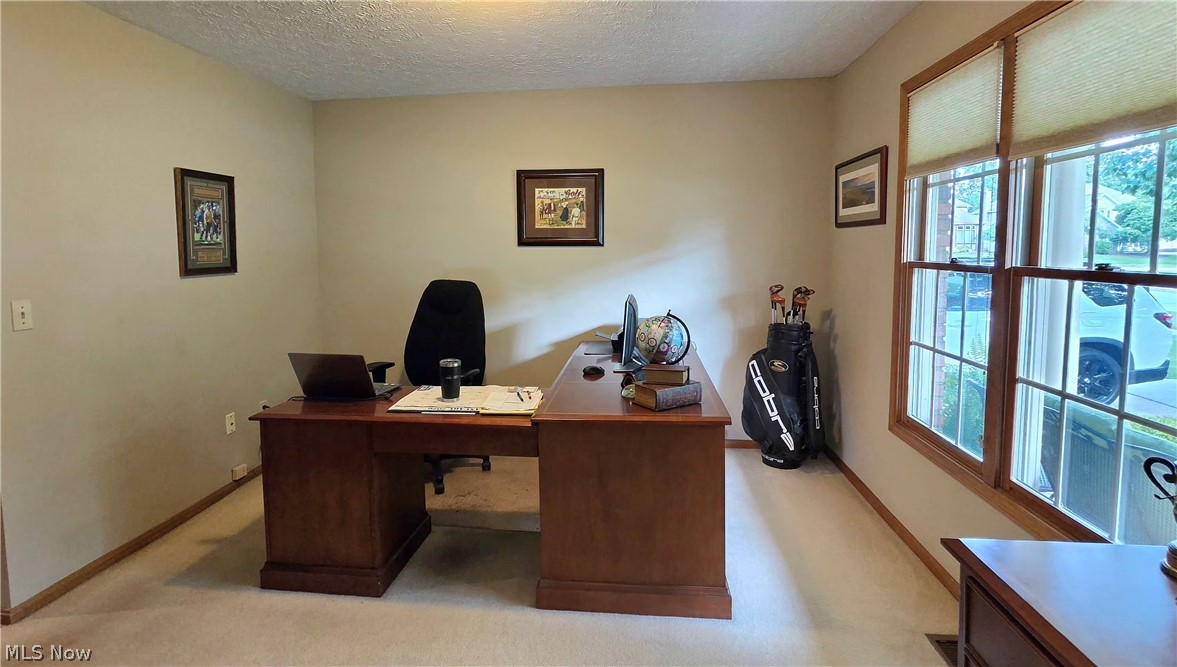 19694 Summer Place Drive Strongsville OH 44136