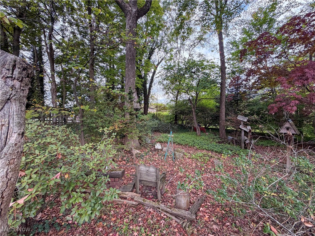124 Wadsworth Street Canfield OH 44406