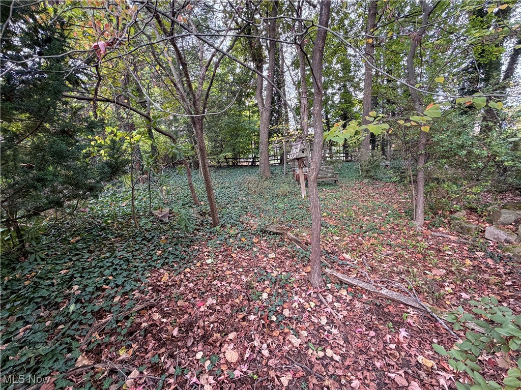 124 Wadsworth Street Canfield OH 44406